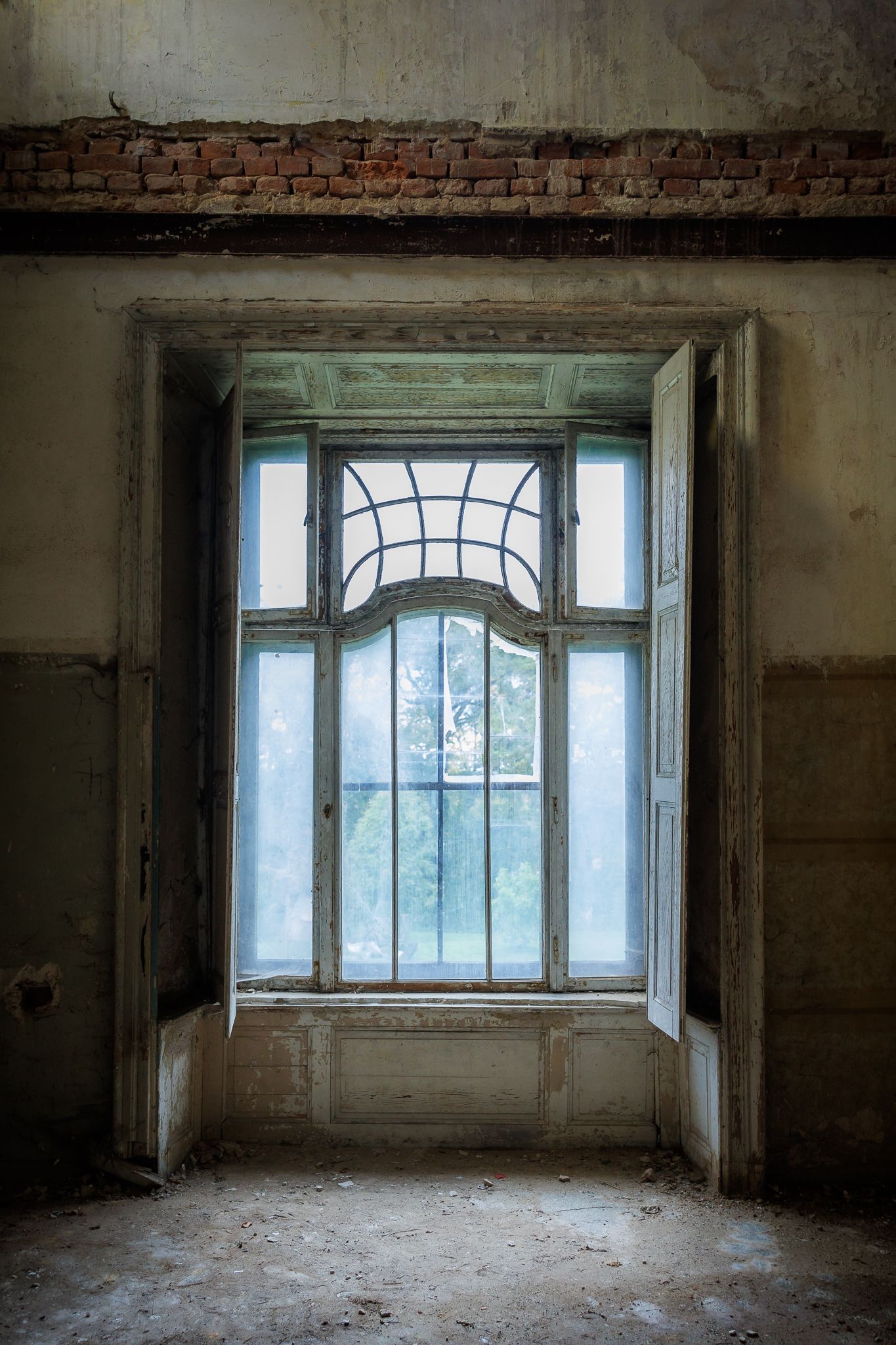 portfolio image