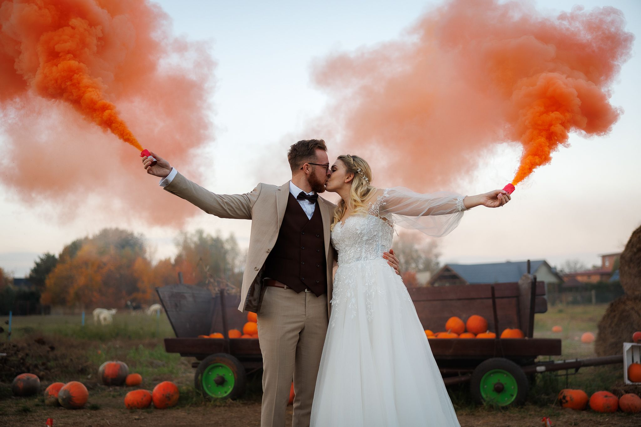 sesja ślubna w stylu halloween na polu dyniowym zachód słońca, pomarańczowe race i magiczna atmosfera
